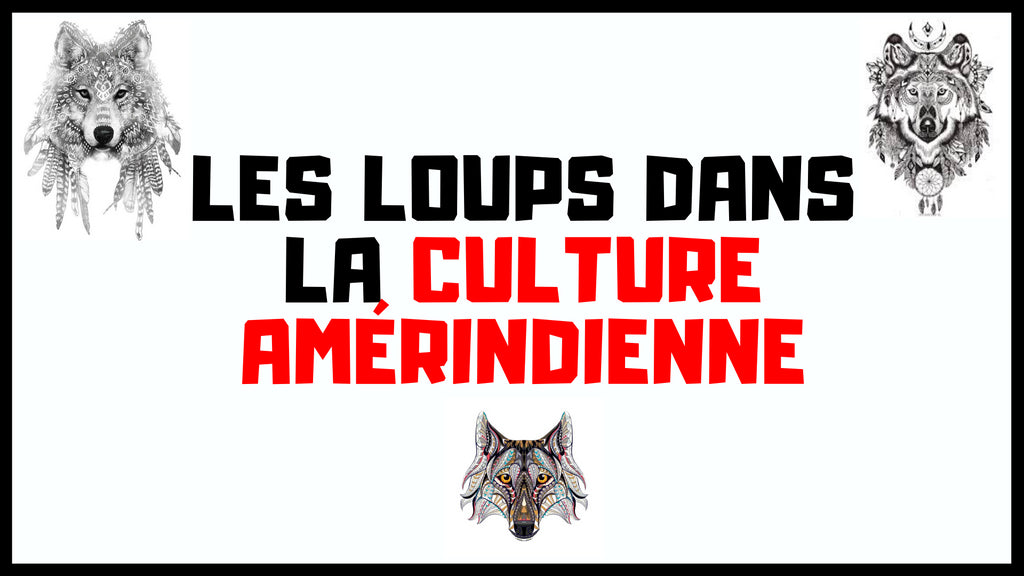 Les Loups dans la Culture Amérindienne